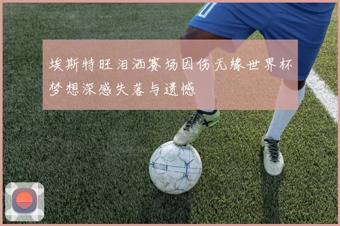 埃斯特旺泪洒赛场因伤无缘世界杯梦想深感失落与遗憾