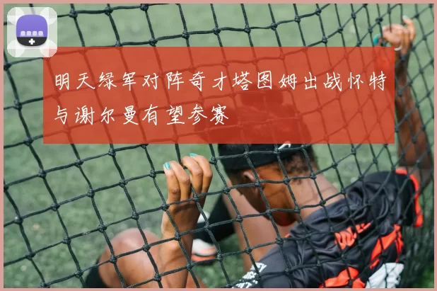 明天绿军对阵奇才塔图姆出战怀特与谢尔曼有望参赛