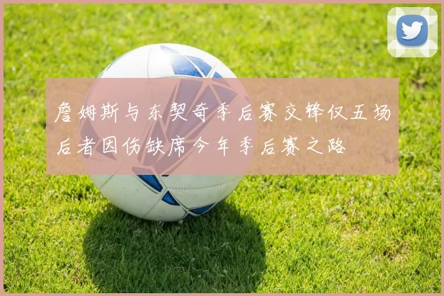 詹姆斯与东契奇季后赛交锋仅五场后者因伤缺席今年季后赛之路