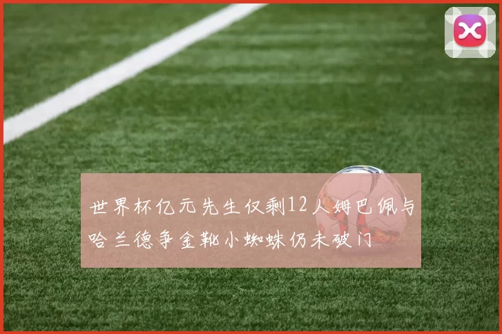 世界杯亿元先生仅剩12人姆巴佩与哈兰德争金靴小蜘蛛仍未破门