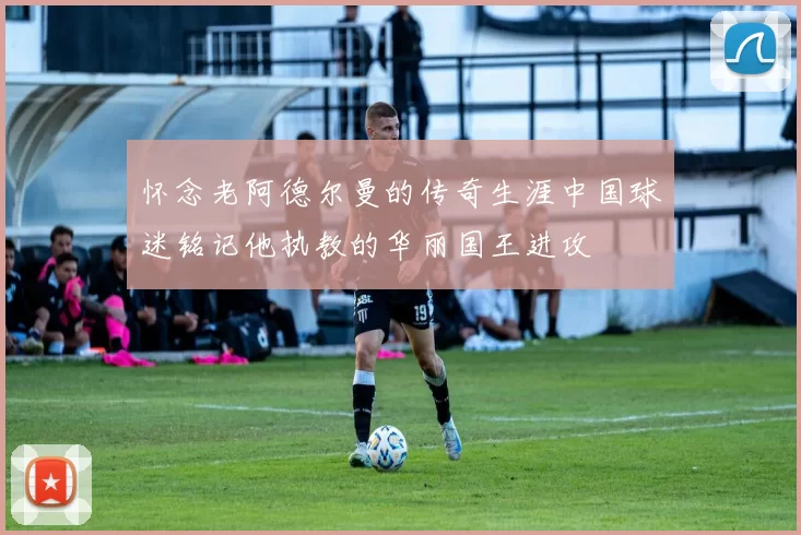 怀念老阿德尔曼的传奇生涯中国球迷铭记他执教的华丽国王进攻